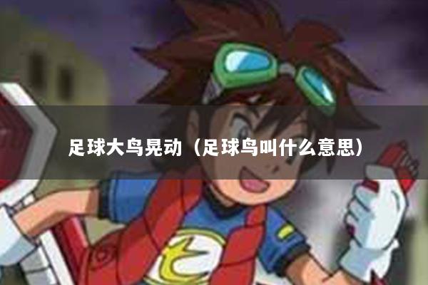 足球大鸟晃动（足球鸟叫什么意思）