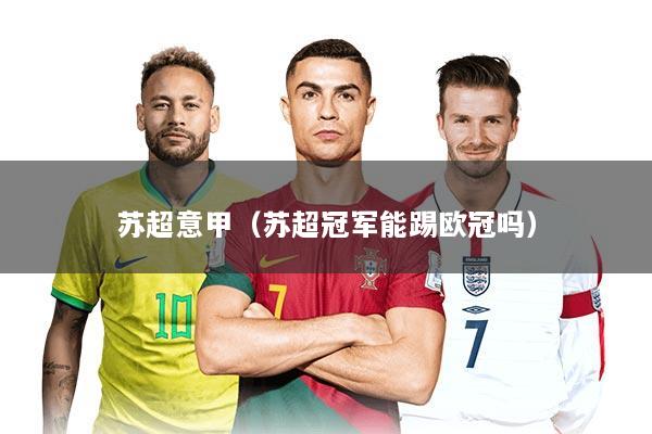 苏超意甲（苏超冠军能踢欧冠吗）