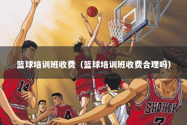 篮球培训班收费（篮球培训班收费合理吗）
