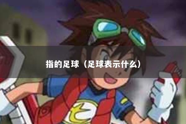 指的足球（足球表示什么）