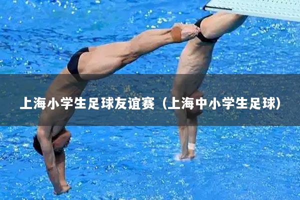 上海小学生足球友谊赛（上海中小学生足球）