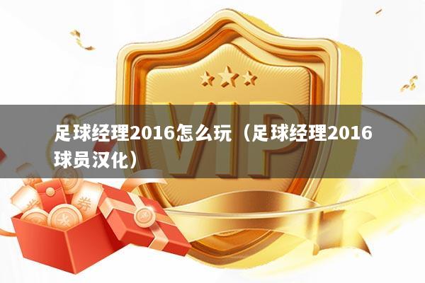 足球经理2016怎么玩（足球经理2016球员汉化）