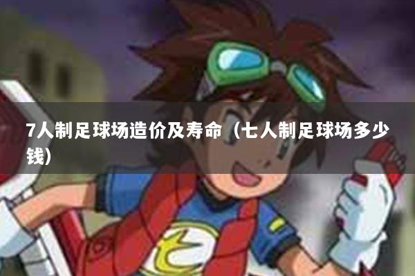 7人制足球场造价及寿命（七人制足球场多少钱）